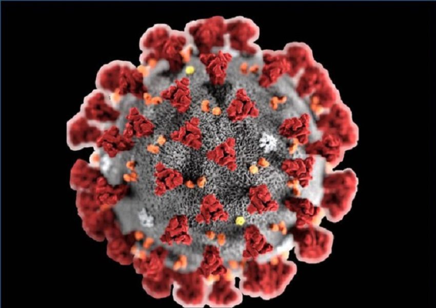 sars-cov-2 / coronavirus