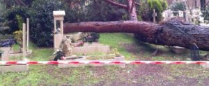 crollo albero cimitero prima porta