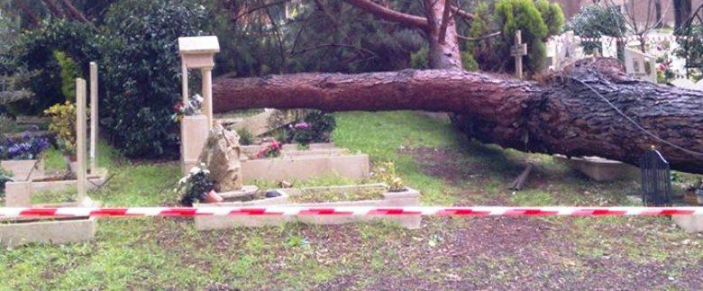 crollo albero cimitero prima porta