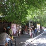 macchinette mangiaplastica roma