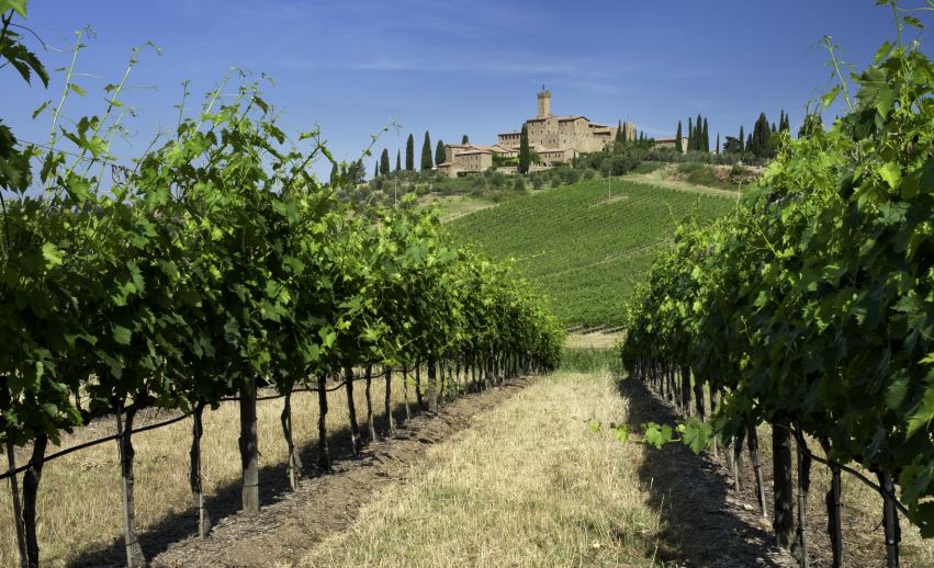 Castello Banfi, Montalcino