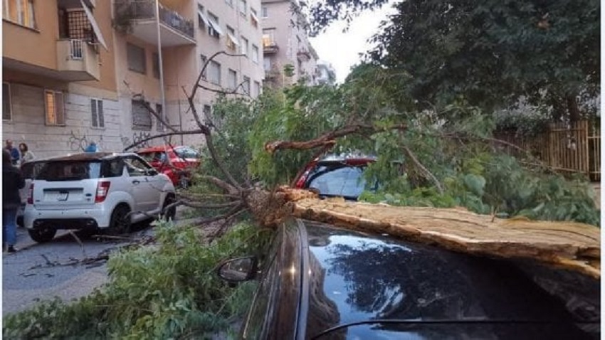 desolazione capitale: albero crollato su un'auto a roma