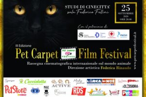 Pet Carpet Film Festival