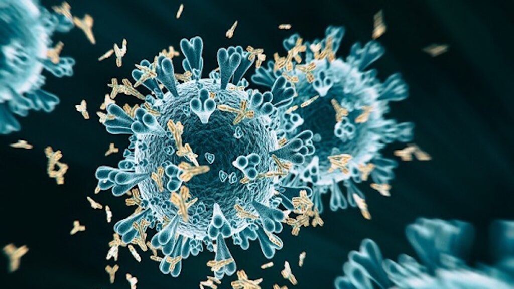 coronavirus