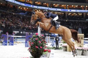 Cavallo e cavaliere durante il salto ostacoli