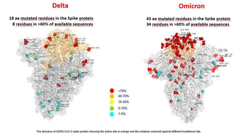 mutazioni variante omicron e variante delta