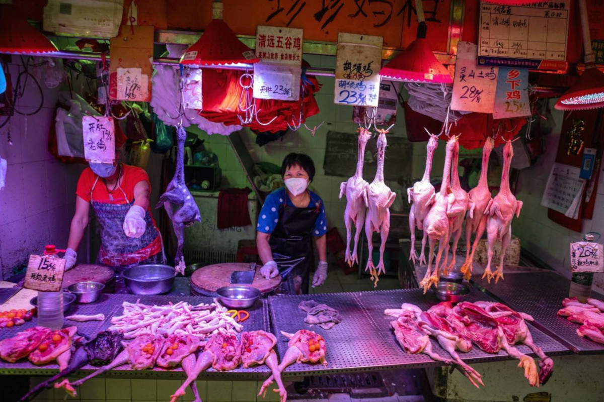 venditrice di polli mercato Wuhan