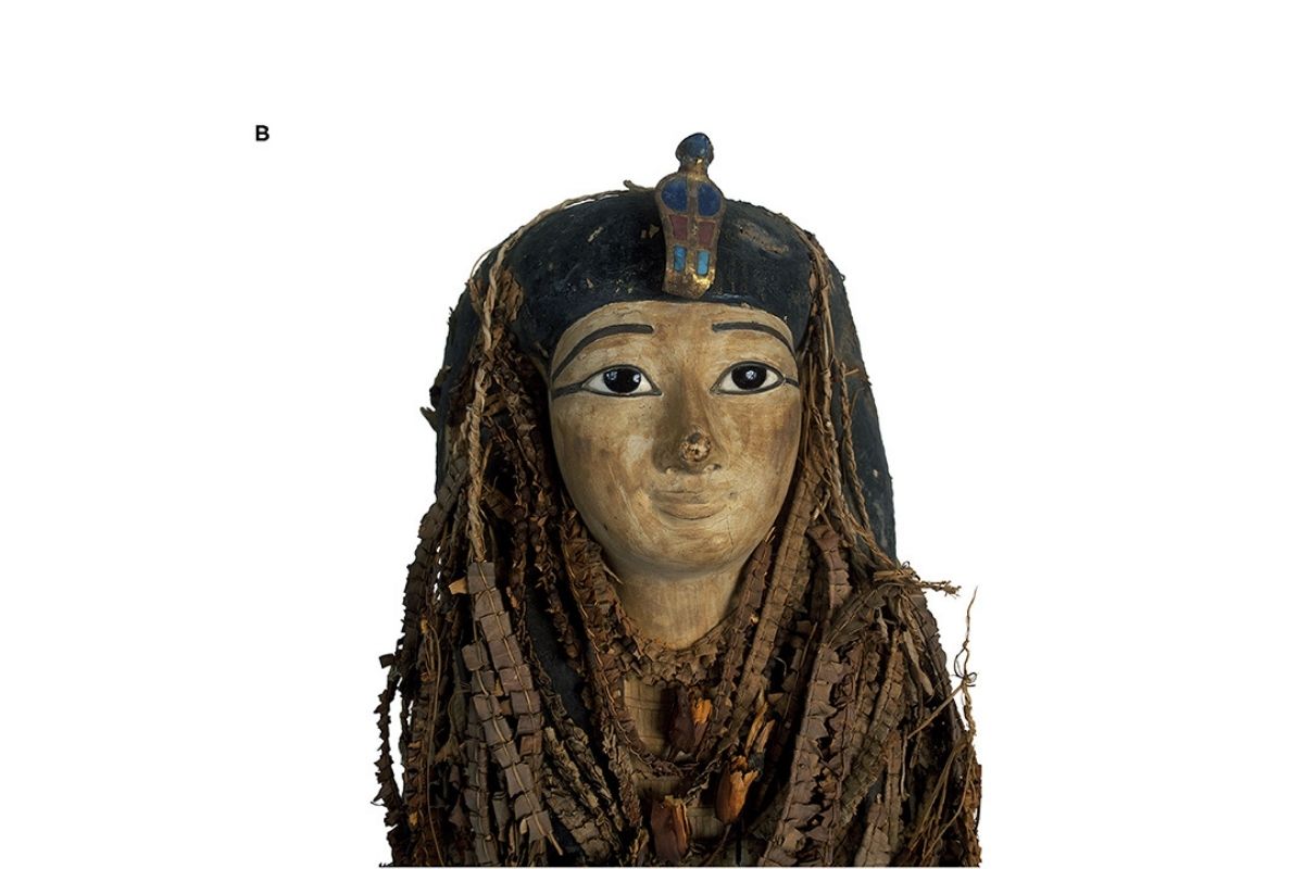 Amenhotep I (foto frontiersin.org)