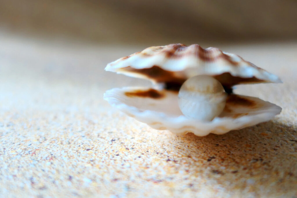 Ostrica sulla sabbia con perla