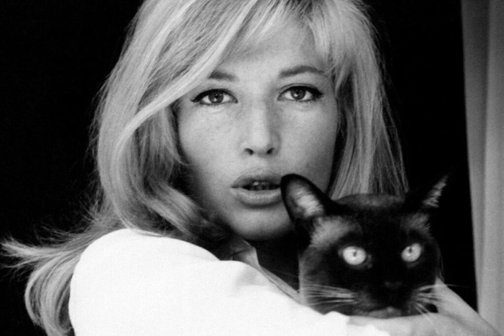 Monica Vitti in bianco e nero con gatto
