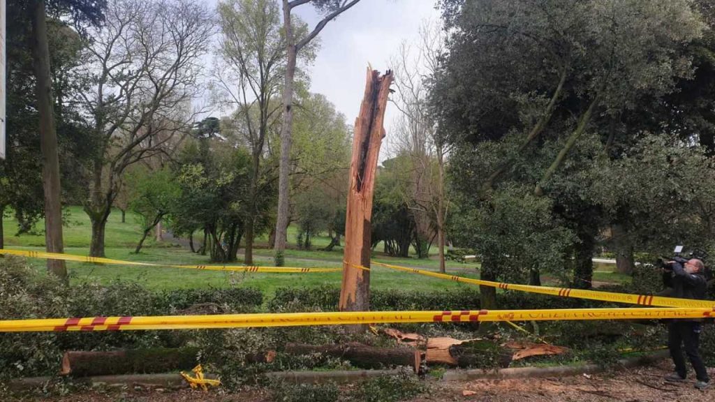 Incidente Villa Borghese (foto Dire)