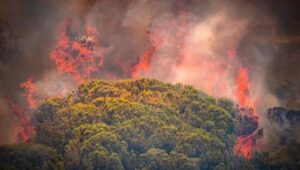 Incendio a Roma