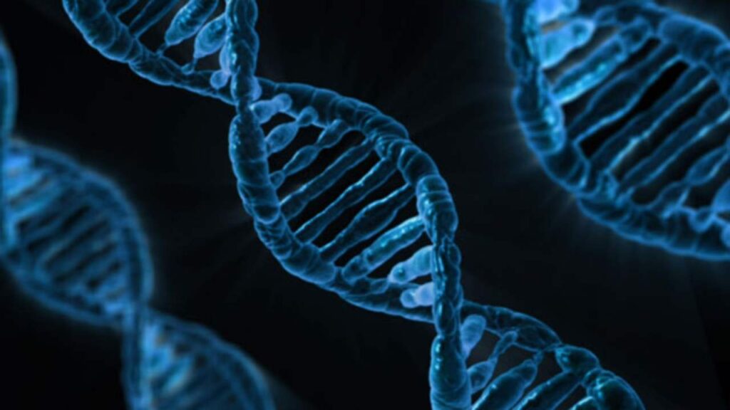 L'immagine della struttura del DNA
