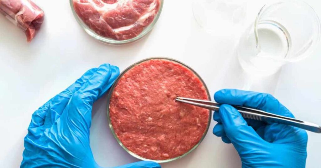 Carne sintetica in laboratorio con guanti blu e pinzette