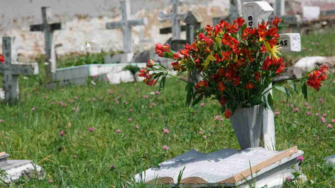 Fiori rossi sulla tomba e prato e croci sullo sfondo in un cimitero