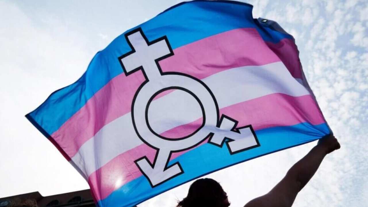 Bandiera transizione transessualità
