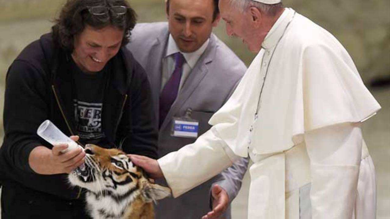 Papa Francesco accarezza un cucciolo di tigre
