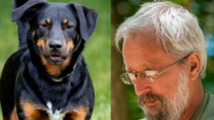 Un collage con una foto di un rottweiler e il dottor Luigi Polverini