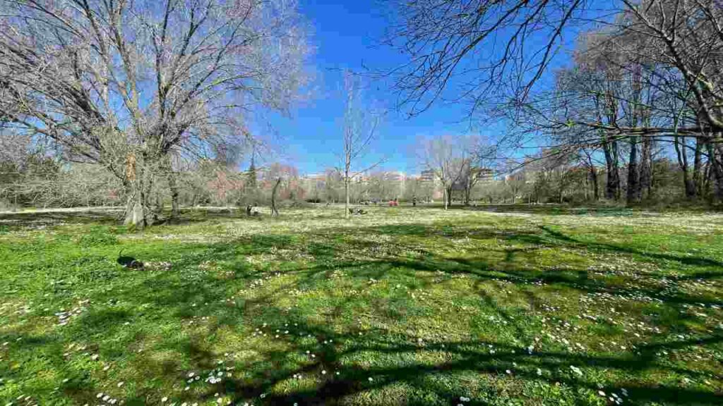 Parco delle Valli nel quartiere Conca d'oro a Roma