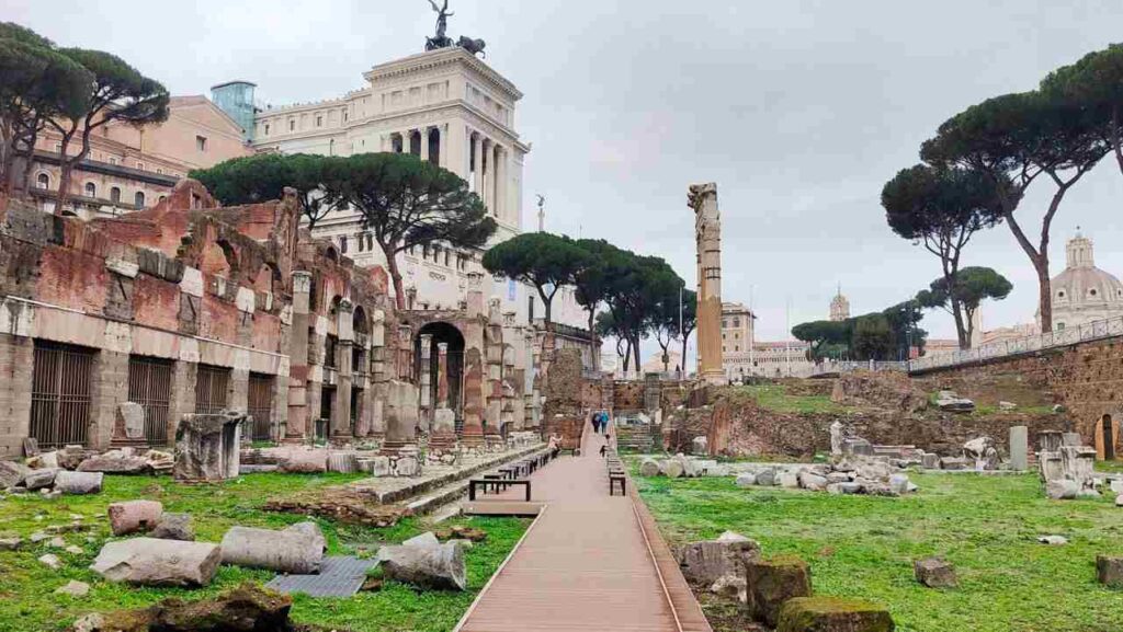 Alberi di Roma, via dei Fori Imperiali, Piazza Venezia