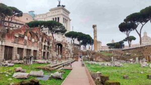 Alberi di Roma, via dei Fori Imperiali, Piazza Venezia
