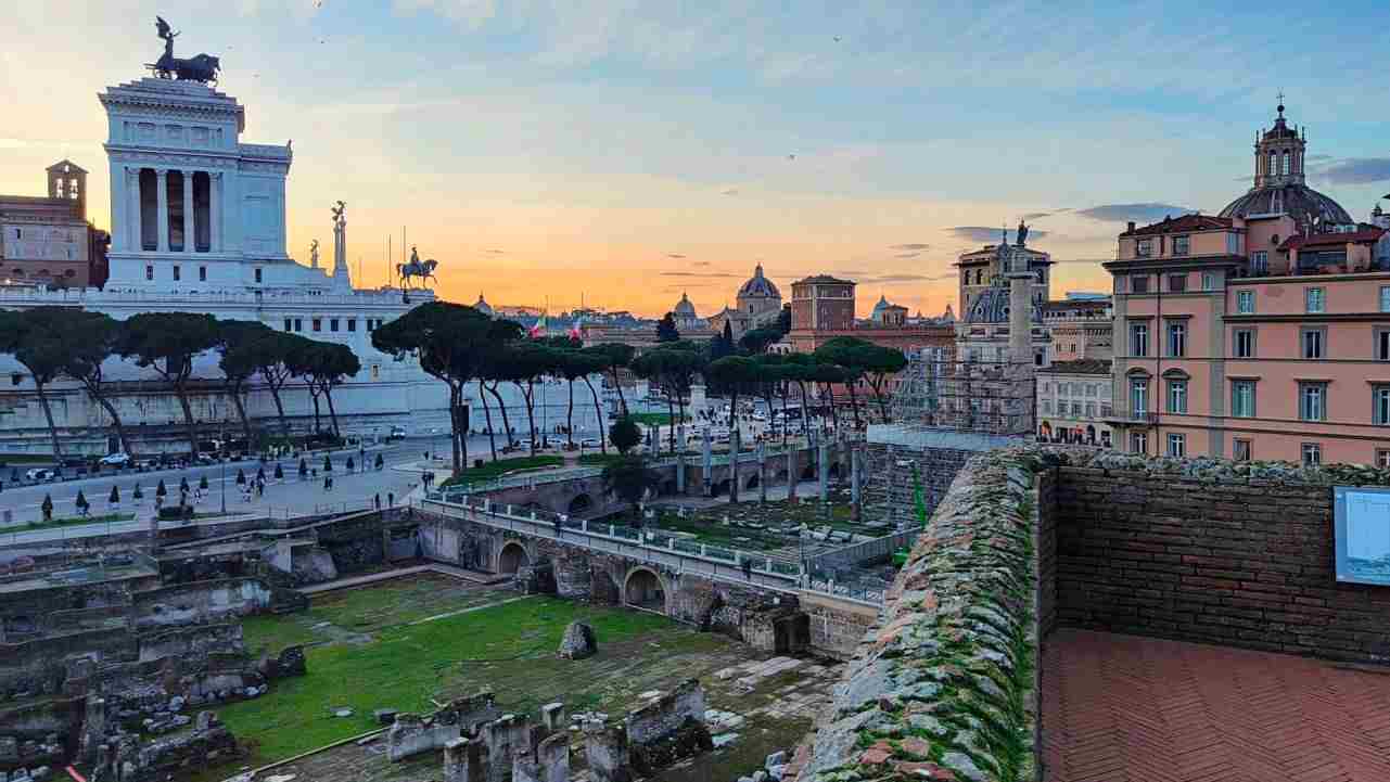 Alberi di Roma, Fori Imperiali, Piazza Venezia