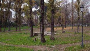 Alberi di Villa Borghese di Roma