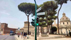 Alberi di Roma tra via Traiano e via dei Fori Imperiali