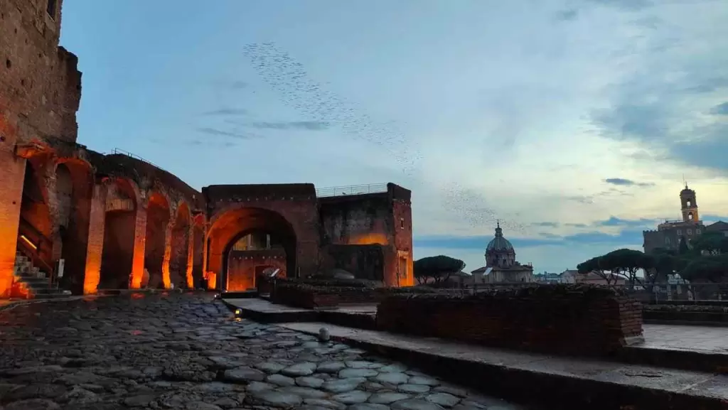 Roma, Mercati di Traiano