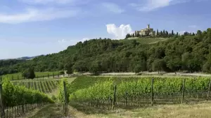 Una visuale da lontano del Castello Banfi