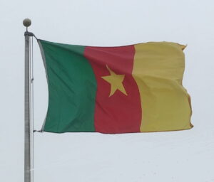 Bandiera del Camerun