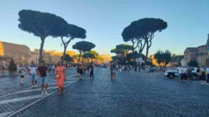 Via dei Fori Imperiali a Roma, pini ai lati della strada
