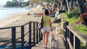 Cani in spiaggia