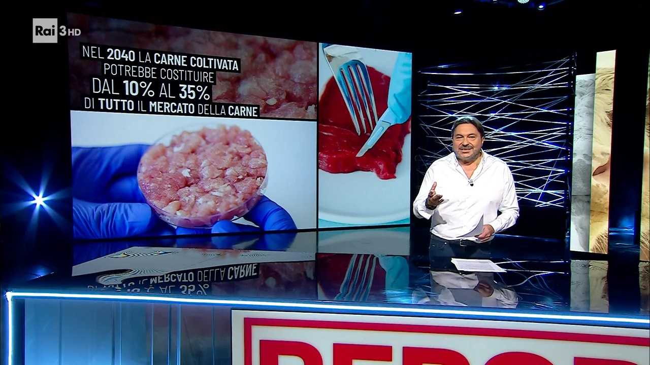 Carne coltivata, puntata di Report