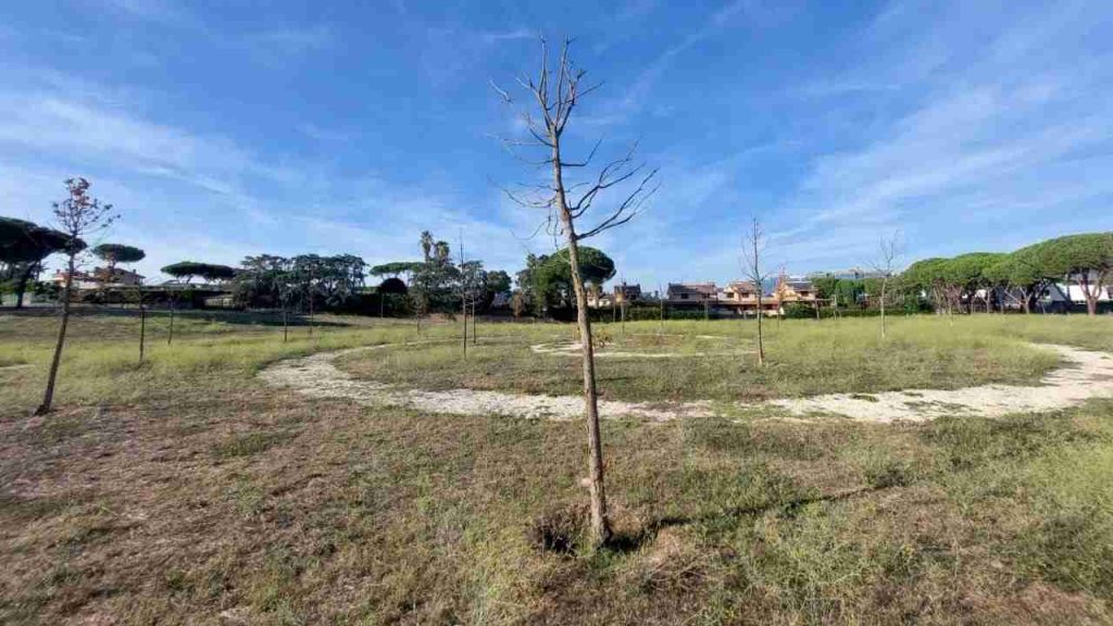 Il Giardino della Giustizia, Parco della Romanina