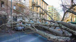 Allerta Meteo Roma - Romait.it