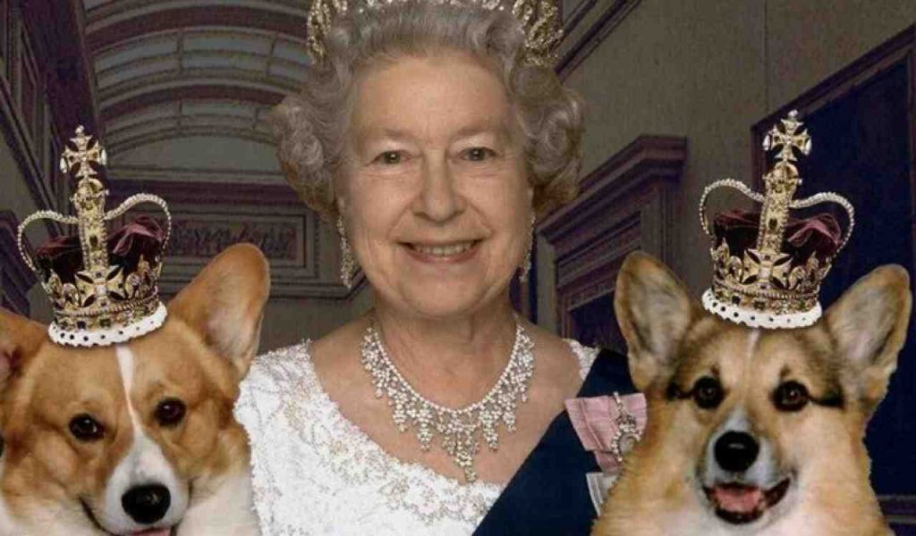 Che fine hanno fatto i cani della Regina Elisabetta?