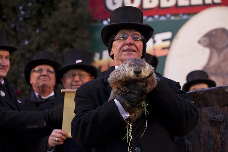 Giorno della Marmotta nel 2013 in Pennsylvania. Candelora