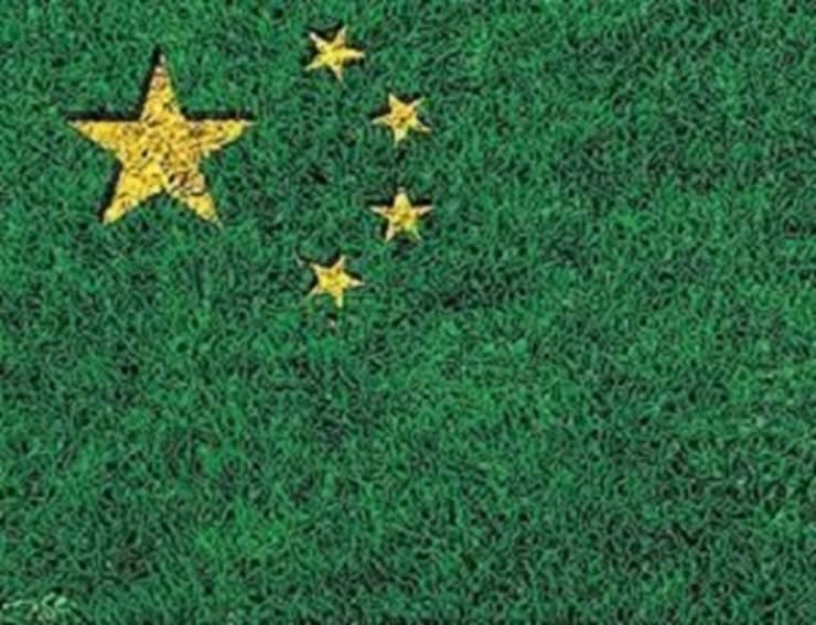 La Cina e la transizione green