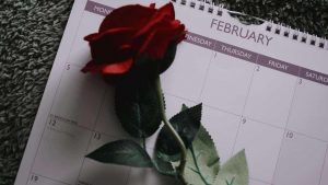 San Valentino, una rosa sul calendario
