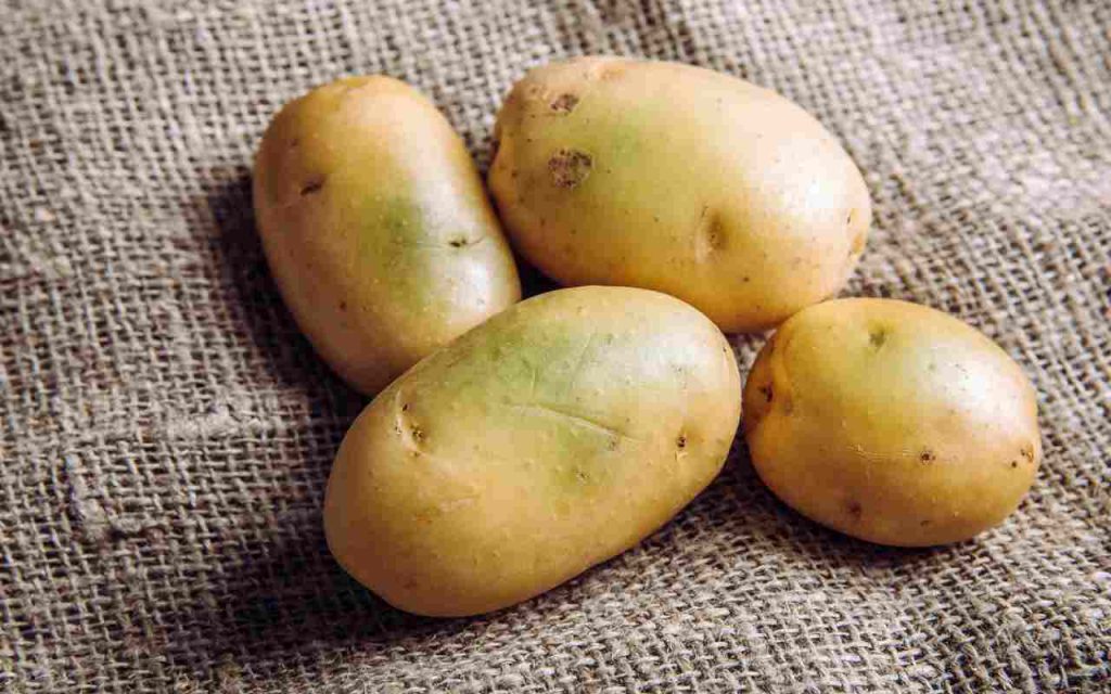 Attenzione al consumo delle patate verdi