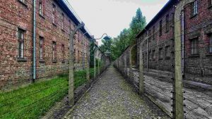 Auschwitz_Shoah_pexels-pixabay