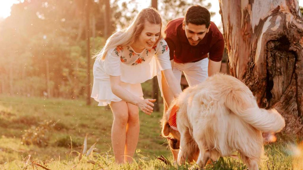 Scopri i vantaggi di avere un cane