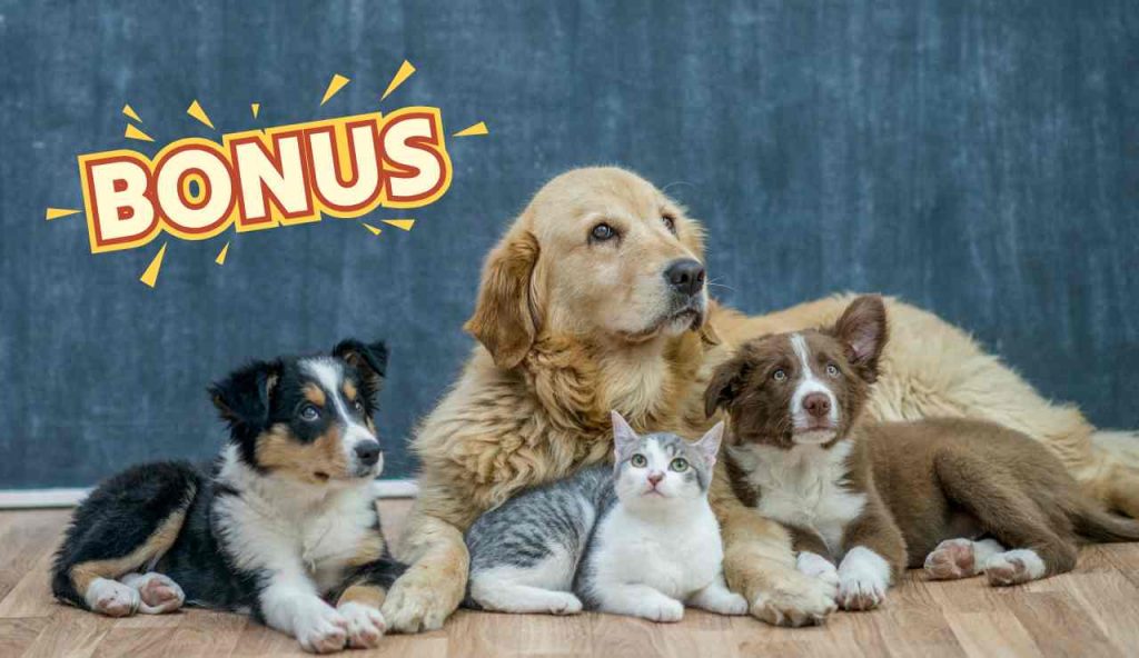 Bonus animali domestici