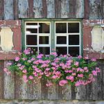 Fiori - Romait.it