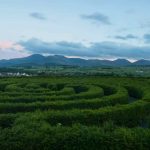 Labirinto - Romait.it