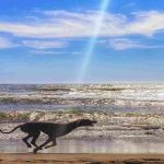Mare - Romait.it