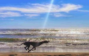 Mare - Romait.it