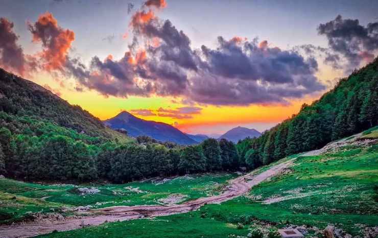 Campi Staffi - Romait.it