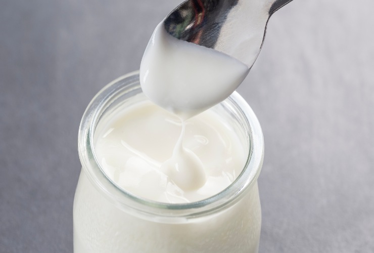 Yogurt
